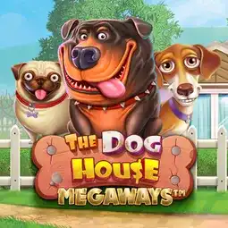 The Dog House Megaways gra w Hugo Casino dla graczy z Polski The Dog House Megaways gra w Hugo Casino dla graczy z Polski