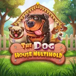 The Dog House Multihold gra w Hugo Casino dla graczy z Polski The Dog House Multihold gra w Hugo Casino dla graczy z Polski